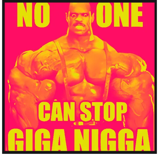 GIGA NIGGA , $GIN