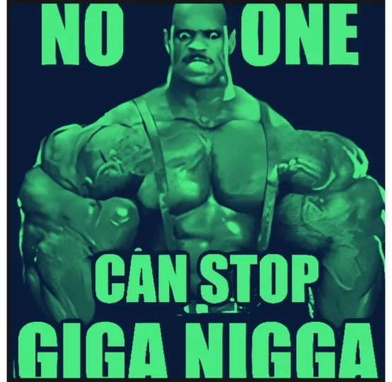GIGA NIGGA , $GIN