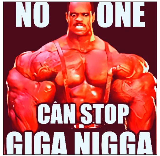 GIGA NIGGA , $GIN