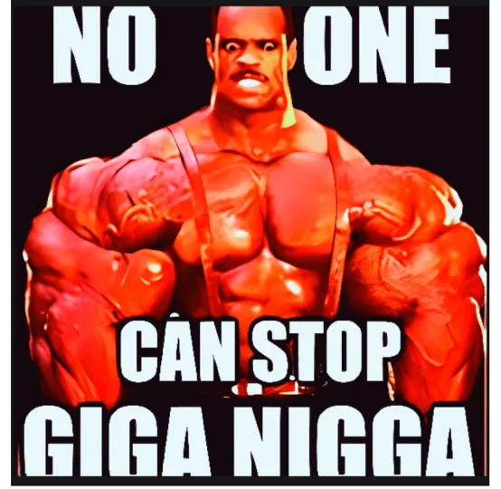 GIGA NIGGA , $GIN