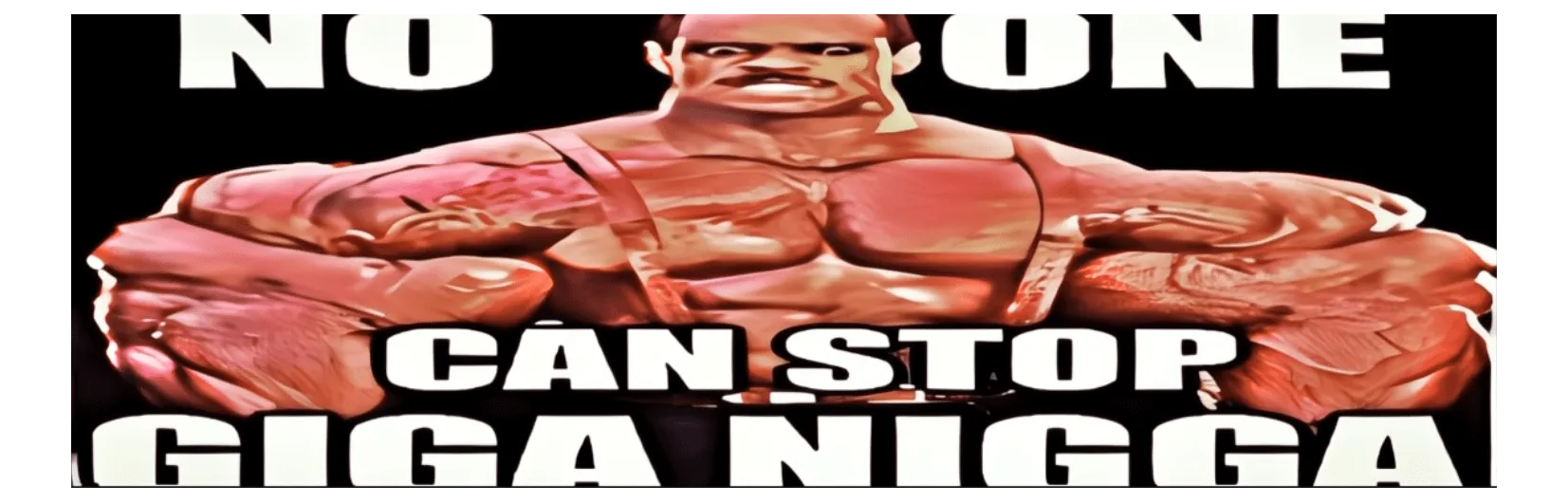 GIGA NIGGA , $GIN