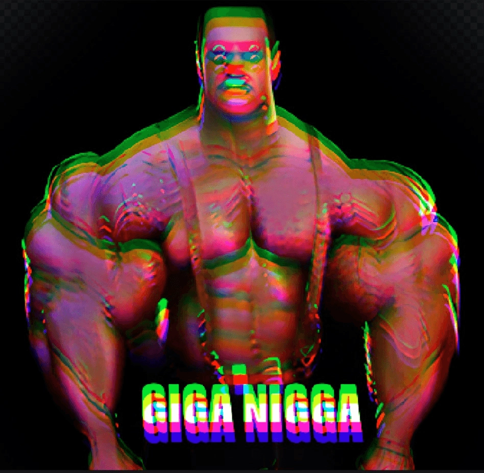 GIGA NIGGA , $GIN