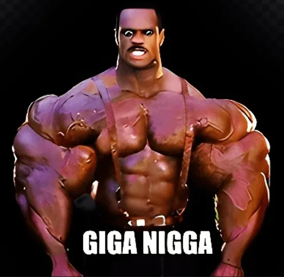 GIGA NIGGA , $GIN